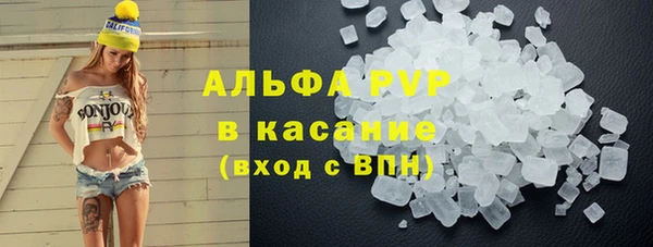 a pvp Бородино