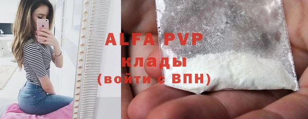 a pvp Бородино