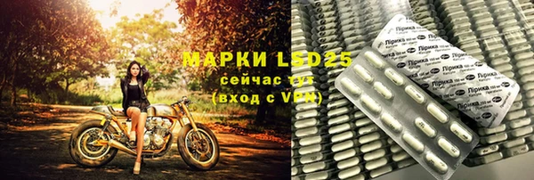 a pvp Бородино