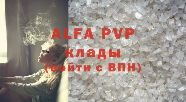a pvp Бородино